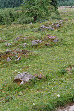 Blockstreu in Wiesenfläche bei Gugu 