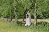 Lesesteinmauer mit Birkenhecke bei Unterwald 