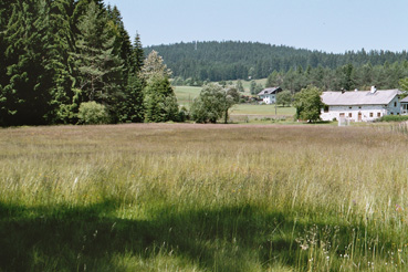 Pfeifengraswiese südl. von Sandl, Haus mit Blossteinmauerwerk 