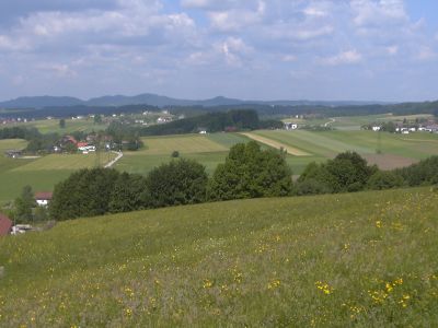 Die typische Landschaft der Raumeinheit: Ein Blick ins Hausruckviertel. 