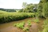 Leithenbach im Bereich des Naturschutzgebietes Koaserin 