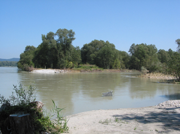 Leitdammöffnung im Bereich der Hagenauer Bucht 