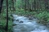 Wildbach im Koppenwinkel 