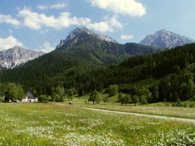 Blick auf Kleinen und Großen Pyhrgas vom Winklerbachtal aus 