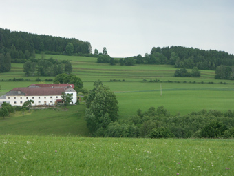 Terrassenlandschaft (hinten) mit Mährainen, einer lockeren Dornbuschhecke und verwaldeten Streifen bzw. Haselhecken; Solberg, 10.6.2005 