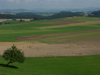 Kleinschlägige Ackernutzungen mit erhöhtem Feldbrüterpotenzial; ganz hinten Freiwaldanhöhen, davor Berge der Freiwaldabdachung; Guttenbrunn, 1.9.2005 