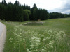 Fischteichneuanlage und Waldzwickelaufforstung auf eher extensiv bewirtschaftetem Grünlandstandort; bei Rainbach, 9.6.2005 