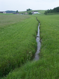 Regulierter Bach in Intensivgrünland bei Prendt / Elmberg; an solchen Stellen bestehen Schwierigkeiten, den Gewässerlauf beim Düngerausbringen auszusparen; 14.6.2005