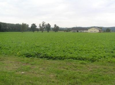 Ackerbaulich genutzte Landschaft bei der Schwaigau