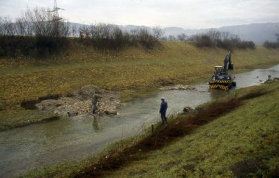 Renaturierung des Urfahraner Umleitungsgerinnes 