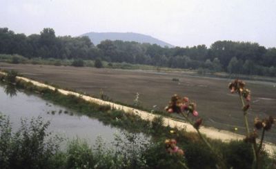 Schlammdeponie im Aupolder 