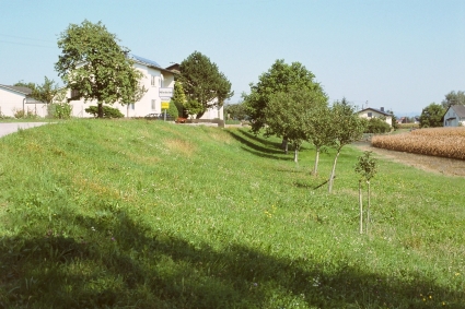 Wiesenrest am Wagram 