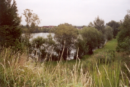 Schottergrube bei Lehen 