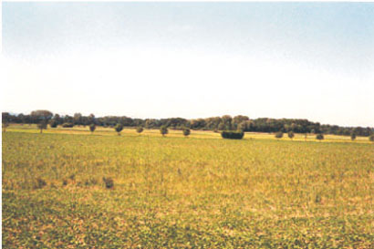 Blick aus dem Autofenster auf Ackerbaulandschaft 