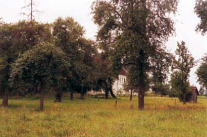 Streuobstwiese bei Saxendorf 