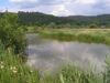 Stillwasserbereich im Hochwasserrückhaltebecken Teichstätt.