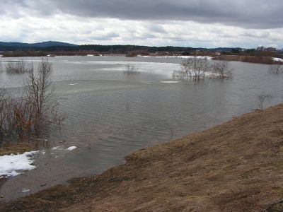 Hochwasser im Rückhaltebecken in Teichstätt (Spätwinter 2005/2006). 