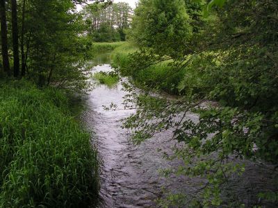 Nebenarm der Mattig westlich von Mattighofen. 