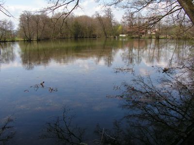 Fischteich bei St. Florian.