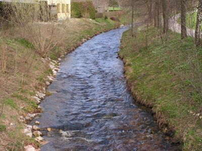 Schwemmbach-Oberlauf. 