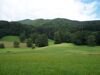 Verzahnungsbereiche von Wald und Grünland mit Wiesenbuchten und gehölzreichen Kleinstrukturen am Schußberg