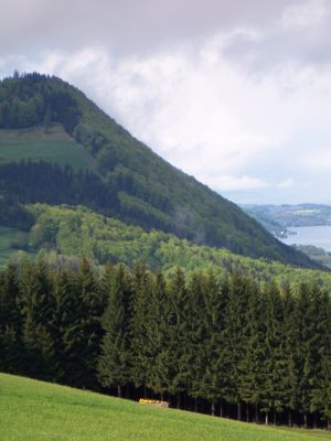 Steiler Buchenhangwald am Ostabfall des Reiter Gupfs 