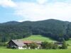 Blick vom Weiler Haslau auf die Fichten-dominierten Nordabhänge von Großem Hollerberg, Hochplettspitz und Koppenstein (Gipfel von links nach rechts)