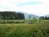 Naturschutzgebiete Egelsee und Egelseemoor, im Hintergrund Höllengebirge 