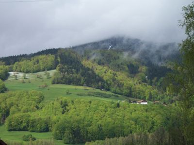 Buchen-dominierte Mischwälder am Südabhang zum Mondsee (Schußberg)