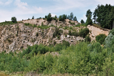 aufgelassener Steinbruch bei Dimbach 