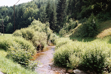 Sarnigbach bei Ettenberg 