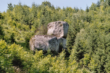 Blockburg bei Pierbach 