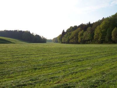 Seitengraben des Brunner Grabens mit Intensivwiese und Buchen-dominiertem Leitenwald zwischen Bründl und Hof 