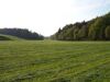 Seitengraben des Brunner Grabens mit Intensivwiese und Buchen-dominiertem Leitenwald zwischen Bründl und Hof 