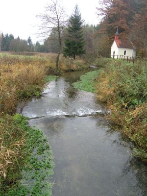 Engelbach bei Unterirnprechting: Uferhochstauden im Herbstaspekt, im Bachbett Kleinröhricht mit Echter Brunnenkresse 