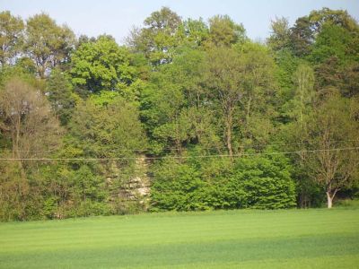 Leitenwald mit Konglomeratfelsen bei Kronleiten 