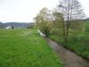 Begradigter Engelbach mit sehr lückigem Ufergehölz (im Bild Schwarzerlen und Bruchweiden) bei Wagenham 