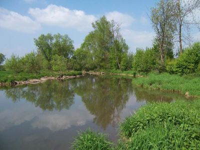 Teich bei Dietzing in ehemaliger Flutmulde der Enknach: große Verlandungsbereiche mit Rohrglanzgras-Röhricht und Bruchwaldresten 