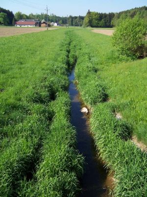 Fillmannsbach bei Apfenthal: naturfernes Gerinne ohne Bestockung 