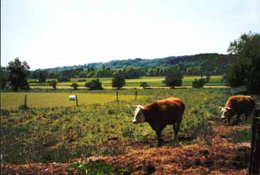 Landwirtschaftliche Flächen in der Ettenau, im Hintergrund die Salzachleiten