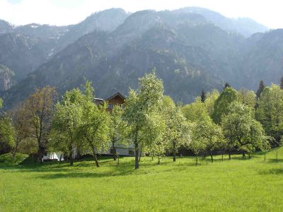 Streuobstwiese in Bad Goisern