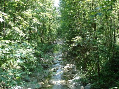 Zubringer der Ischl, naturnaher Flussabschnitt