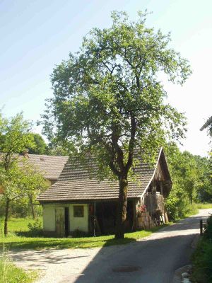 Siedlungssplitter mit bäuerlichen Strukturen nördlich von Bad Ischl 