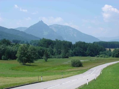 Stark beeinträchtigtes Moor Wirlinger Moorwiesen in St. Wolfgang