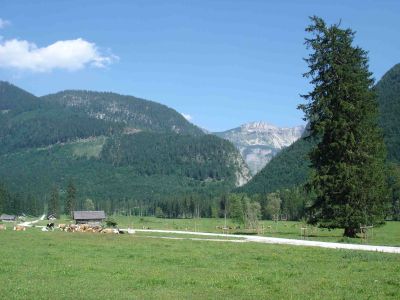 Almflächen am Talsschluss des Rettenbachs