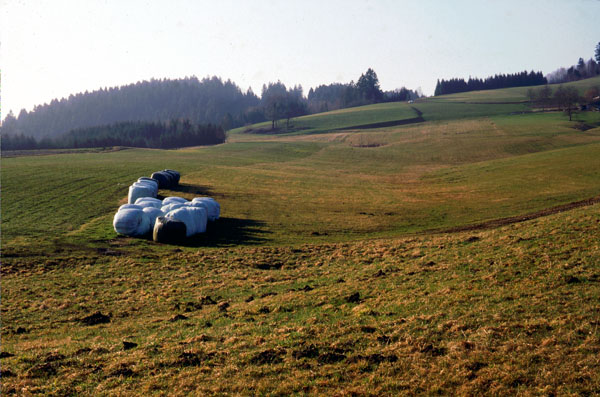 Mittlerweile zugeschütteter Tobel bei Leithen 1997