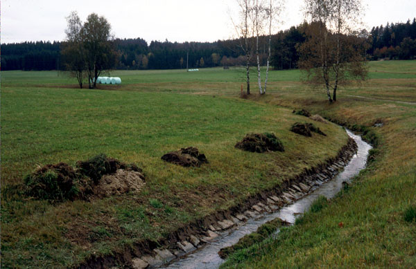 Drainagegräben bei Simling 