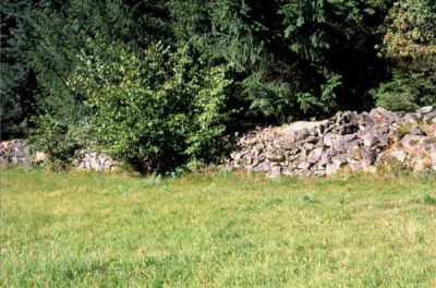 Alte Steinmauer unweit des Ahörndl-Moores 