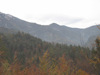 Sengsengebirge, Blick von Forststraße in Richtung Hinterer Rettenbach 