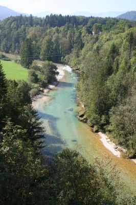 Blick in die Steyrschlucht von der Steyrbrücke bei Leonstein/Molln, hier mit einer der seltenen flußnahen Wiesen 